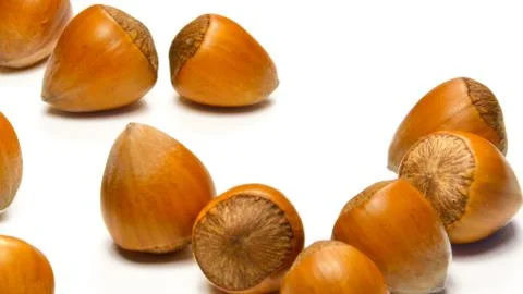 Hazelnuts isolated Foto stock