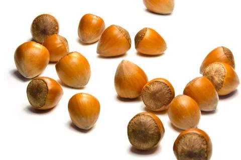 Hazelnuts isolated Stock Photos