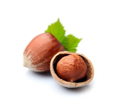 Hazelnuts  isolated. Stock Photos