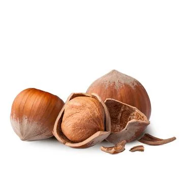 Hazelnuts isolated on white background. Deep focus Stock Photos