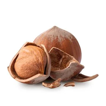 Hazelnuts isolated on white background. Deep focus Stock Photos