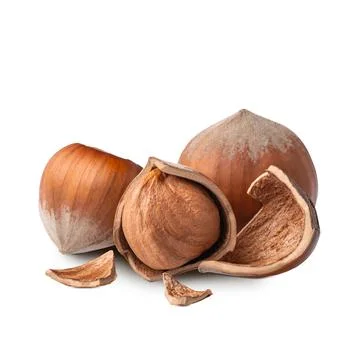 Hazelnuts isolated on white background. Deep focus Foto stock