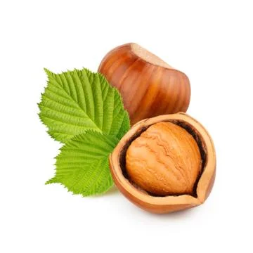 Hazelnuts isolated on white background as package design elements Stock Photos