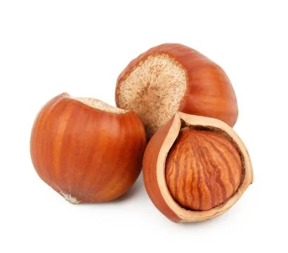 Hazelnuts isolated on white background as package design elements Stock Photos