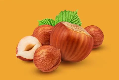 Hazelnuts isolated on white background as package design element Stock Photos
