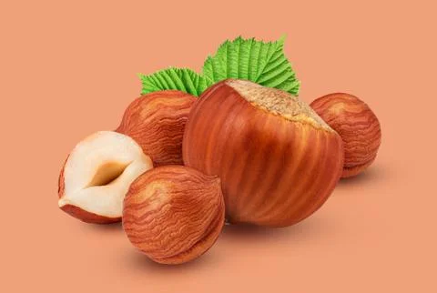 Hazelnuts isolated on white background as package design element Stock Photos