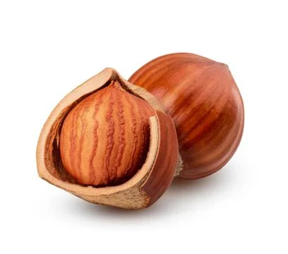 Hazelnuts isolated on white background as package design element Stock Photos