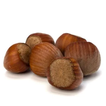 Hazelnuts isolated on white background Stock Photos