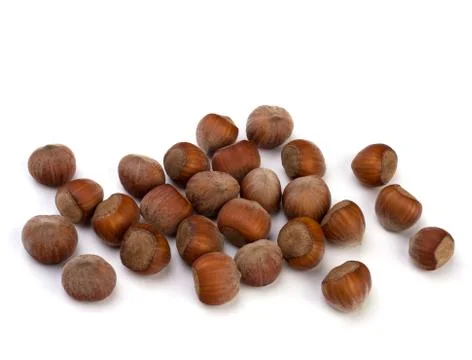 Hazelnuts isolated on white background Stock Photos