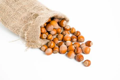 Hazelnuts isolated on white background Stock Photos