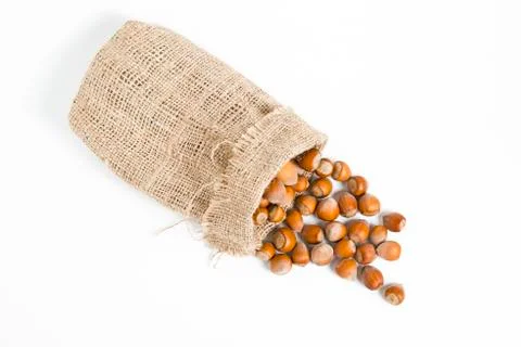 Hazelnuts isolated on white background Stock Photos
