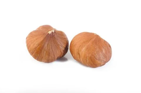 Hazelnuts isolated on white background Stock Photos