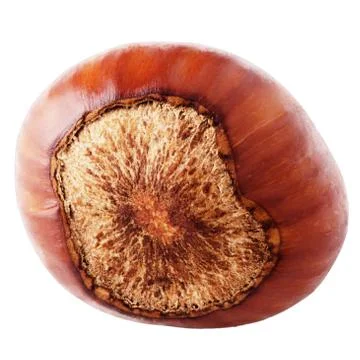 Hazelnuts isolated on white background Stock Photos