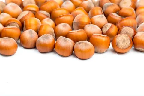 Hazelnuts isolated on white background Stock Photos