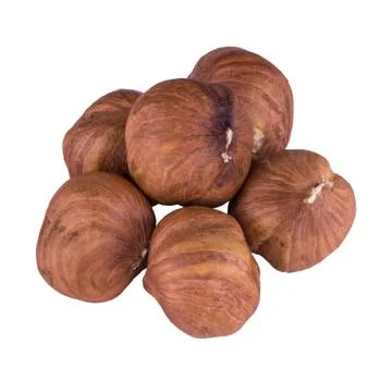 Hazelnuts isolated on white background Stock Photos