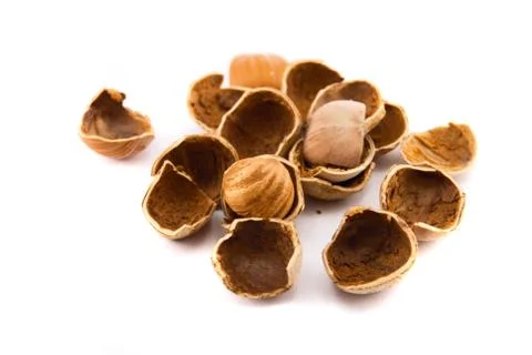 Hazelnuts isolated on white Stock Photos