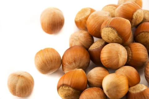 Hazelnuts isolated on white Stock Photos