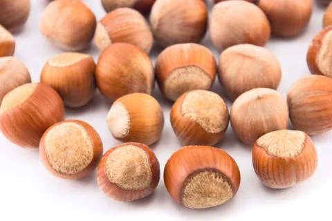 Hazelnuts isolated on white Stock Photos