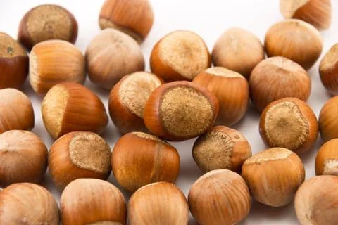 Hazelnuts isolated on white Stock Photos