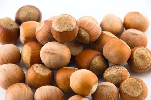Hazelnuts isolated on white Foto stock