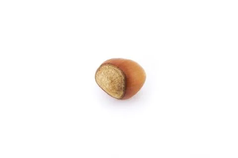 Hazelnuts isolated on white Stock Photos