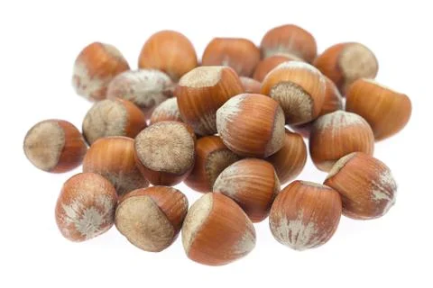 Hazelnuts isolated on white Stock Photos