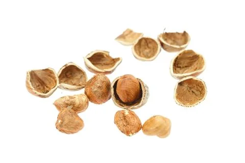 Hazelnuts isolated on white Stock Photos