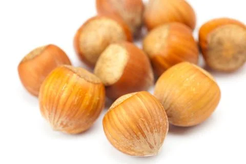 Hazelnuts isolated on white Stock Photos
