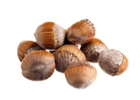 Hazelnuts isolated on white Stock Photos