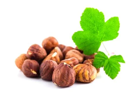 Hazelnuts with leaf isolated on white background Stock Photos