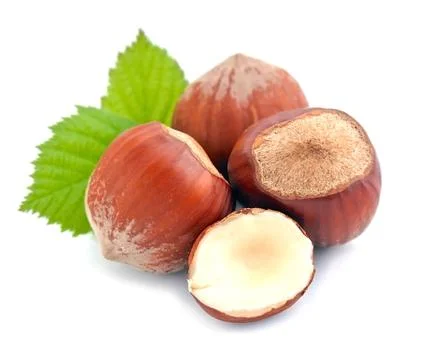 Hazelnuts with leaf . Stock Photos