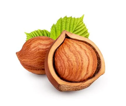 Hazelnuts with leaves isolated on white background as package design element Stock Photos