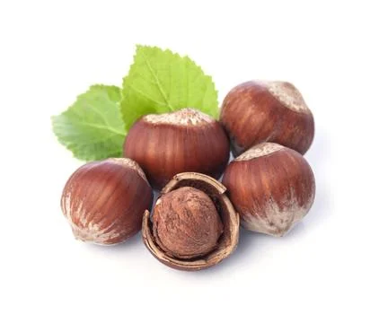 Hazelnuts with leaves Stock Photos
