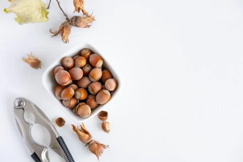Hazelnuts on a light background. Healthy nuts. Fruits of a forest shrub, haze Stock Photos