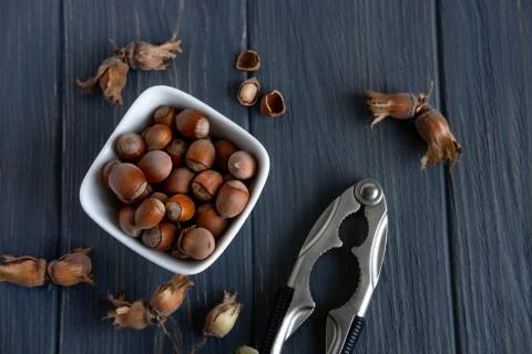 Hazelnuts on a light background. Healthy nuts. Fruits of a forest shrub, haze Stock Photos