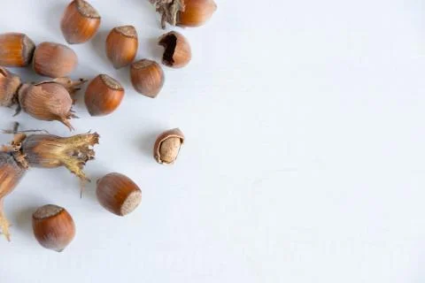 Hazelnuts on a light background. Healthy nuts. Fruits of a forest shrub, haze Stock Photos