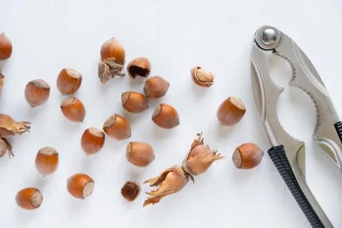 Hazelnuts on a light background. Healthy nuts. Fruits of a forest shrub, haze Stock Photos