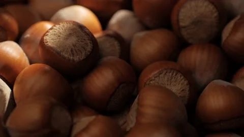 Hazelnuts. Macro shot of beam of sunlight passes over hazelnuts in shadow Stock-Footage 170142566