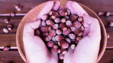 Hazelnuts in men's hands Video stock 239017000