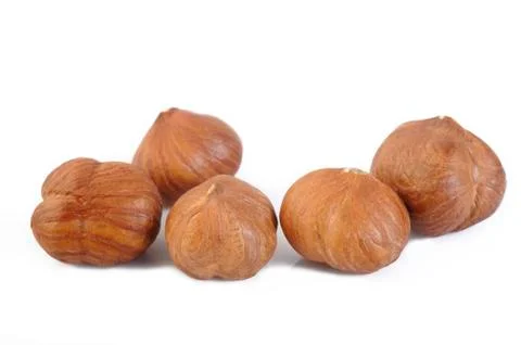 Hazelnuts nut isolated on white background Stock Photos