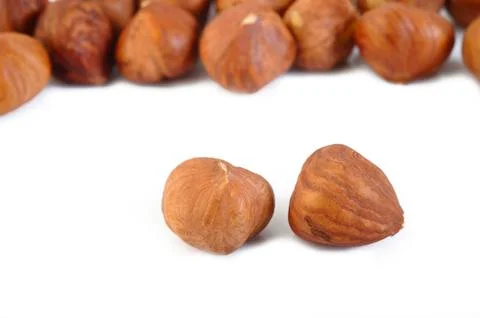 Hazelnuts nut isolated on white Stock Photos
