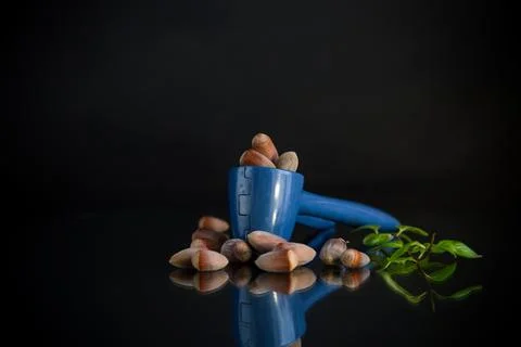 Hazelnuts with nutcracker isolated on black background Stock Photos