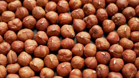Hazelnuts, Nuts, Seeds. Source of Protein. Healthy Food and Diet. Stock Footage 131630876