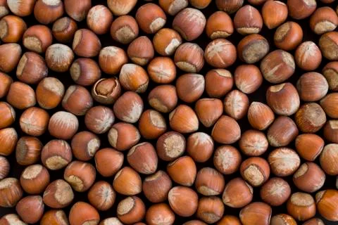 Hazelnuts one of them had a broken shell.Background Stock Photos