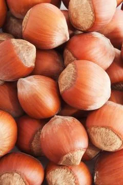Hazelnuts or filbert Stock Photos