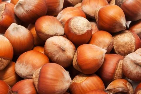 Hazelnuts or filbert Stock Photos