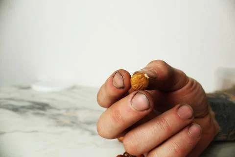 Hazelnuts in a person's hand. Choosing nuts for nutrition Stock Photos