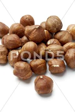 Hazelnuts Stock Photos