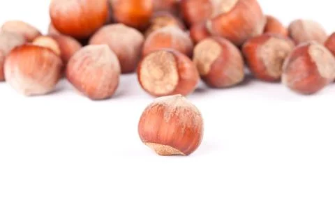 Hazelnuts Stock Photos