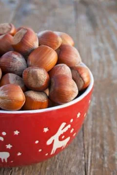 Hazelnuts Foto stock